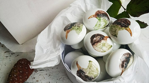 Мебельные ручки из керамики от Ольги Романюк и Анны Курашовой